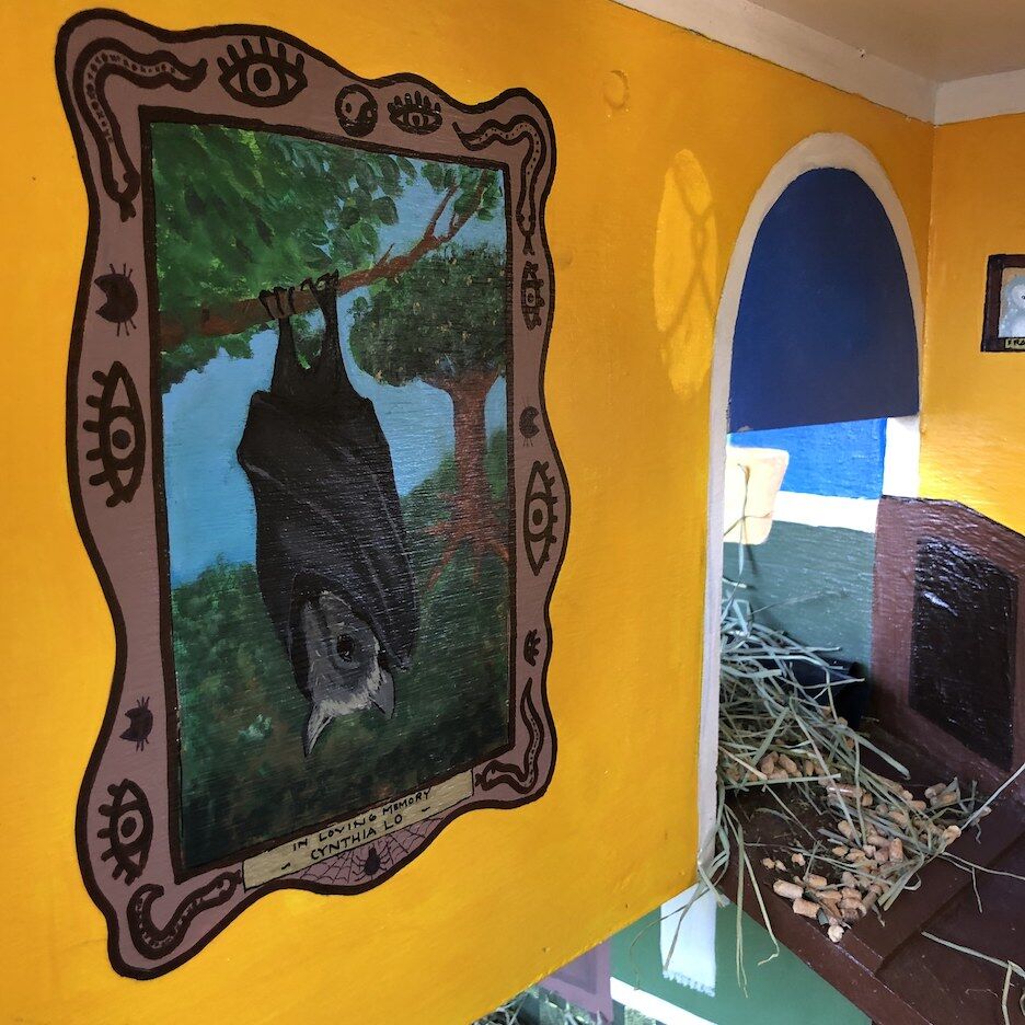 Rabbit house interior-bat painting
